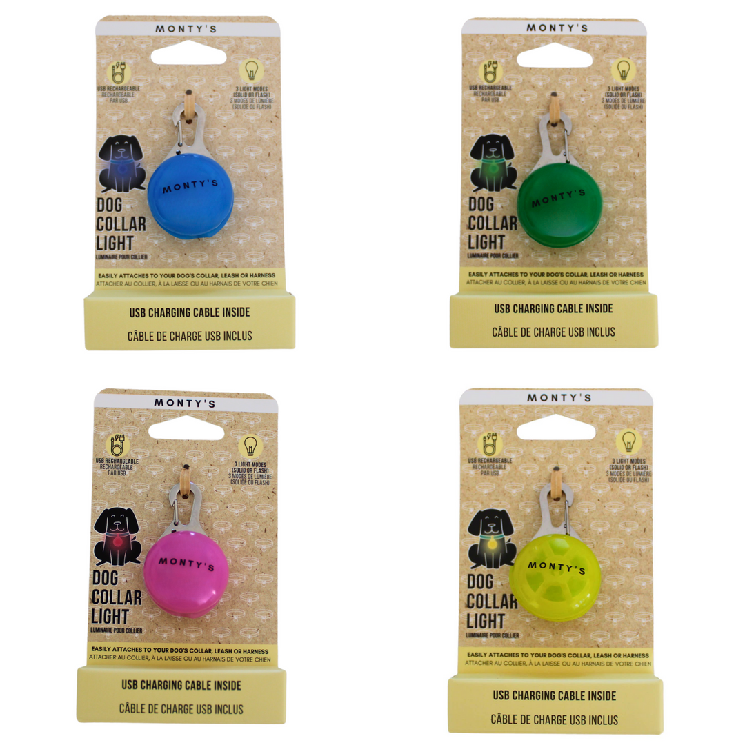 Collier lumineux pour chien - Rechargeable par USB