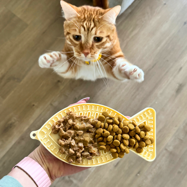 Tapis à lécher à alimentation lente