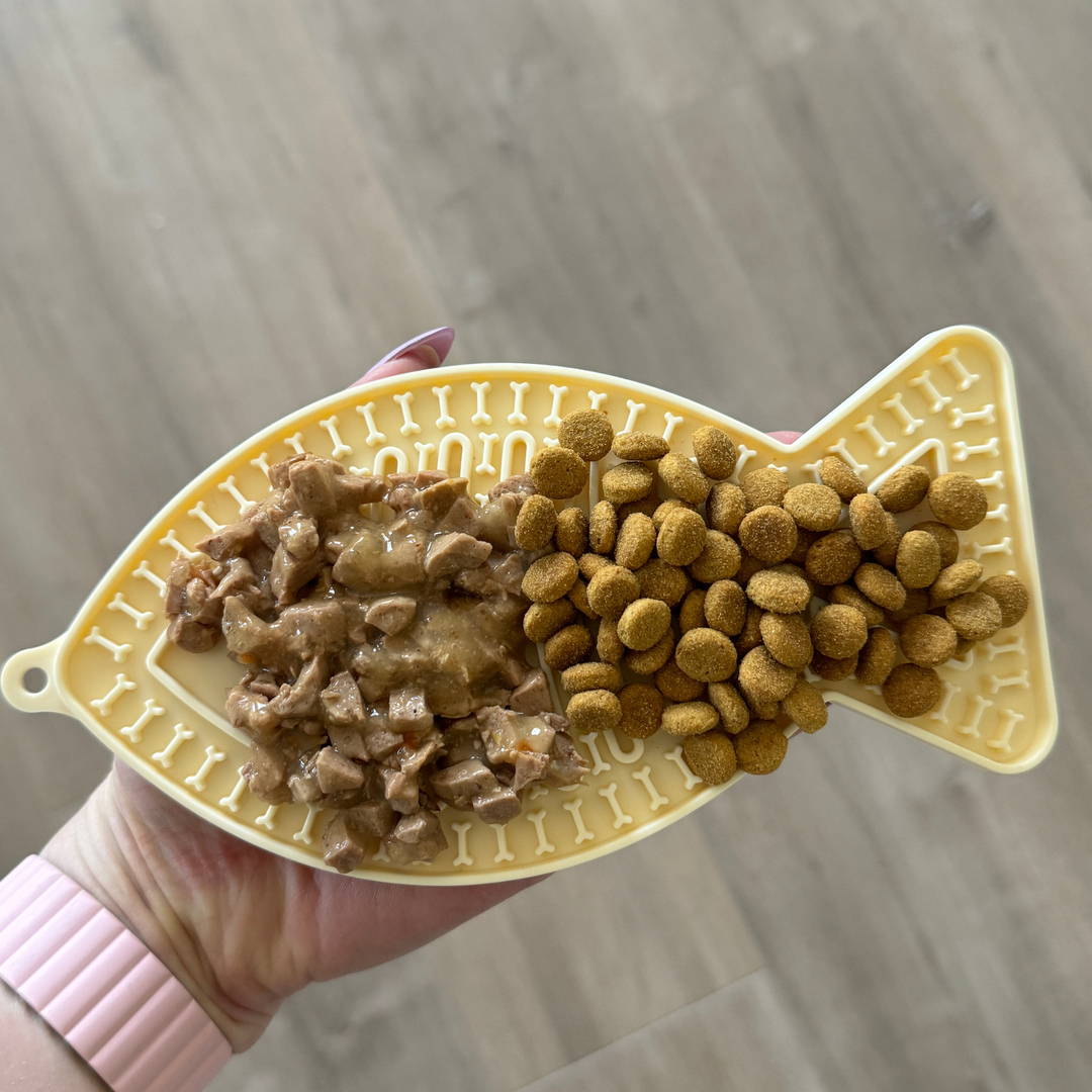 Tapis à lécher à alimentation lente