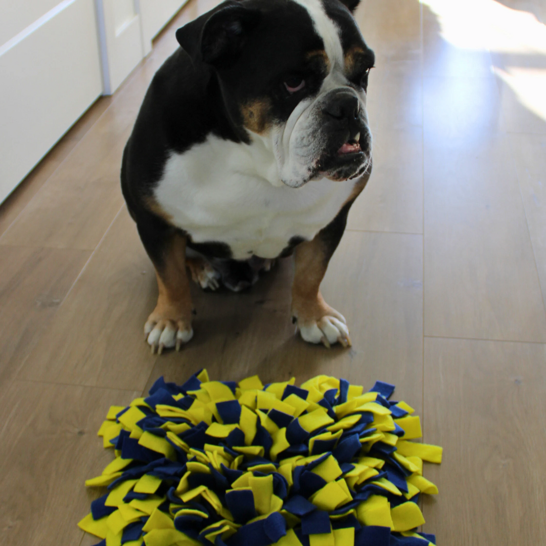 Handmade Pet Snuffle Mats