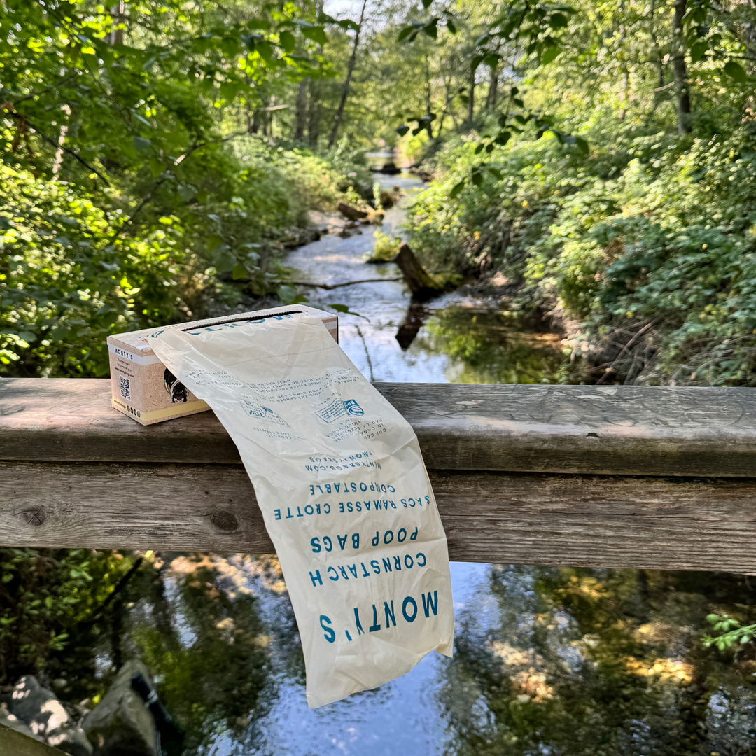 Compostable Cornstarch Poop Bags - Grab & Go - 8 x 13" Bag Size