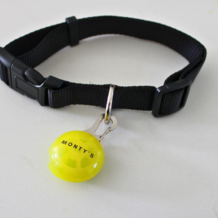 Collier lumineux pour chien - Rechargeable par USB