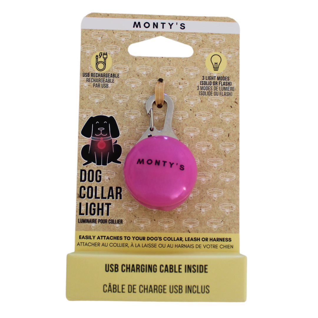 Collier lumineux pour chien - Rechargeable par USB