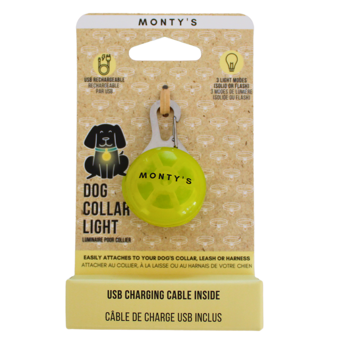Collier lumineux pour chien - Rechargeable par USB