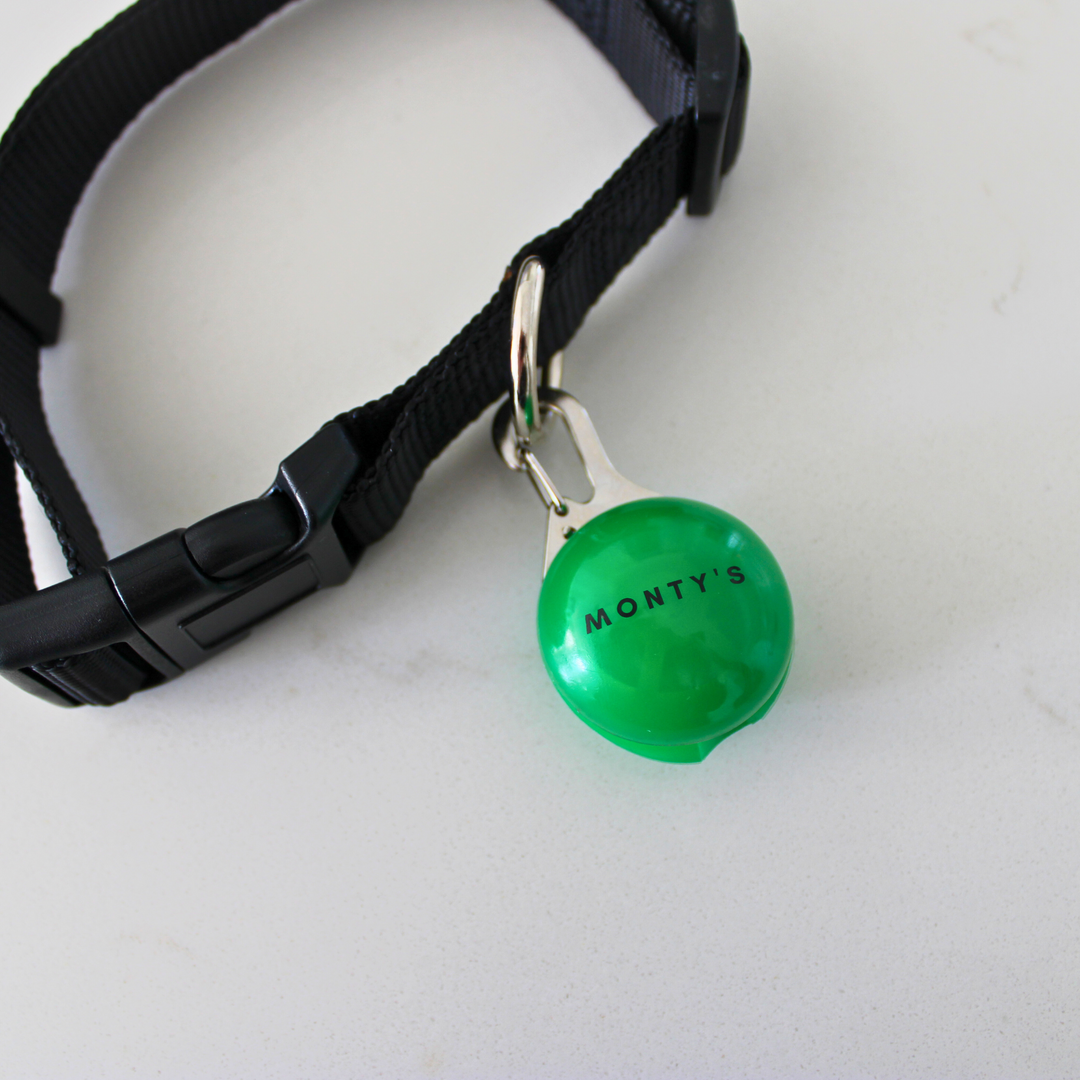 Collier lumineux pour chien - Rechargeable par USB