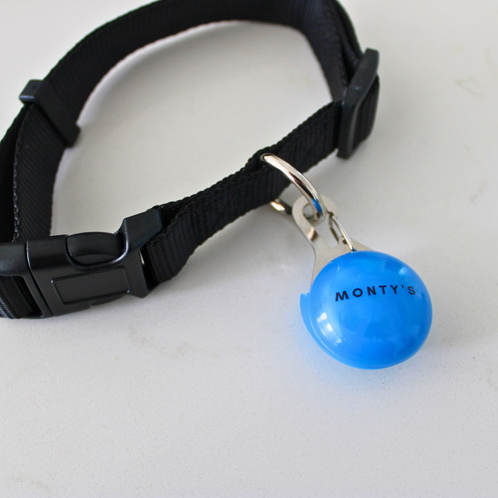 Collier lumineux pour chien - Rechargeable par USB
