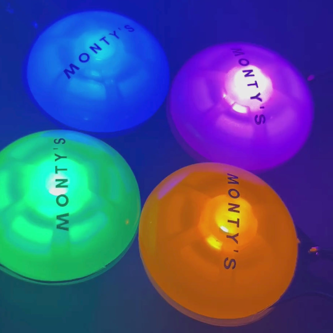 Collier lumineux pour chien – Alimenté par batterie