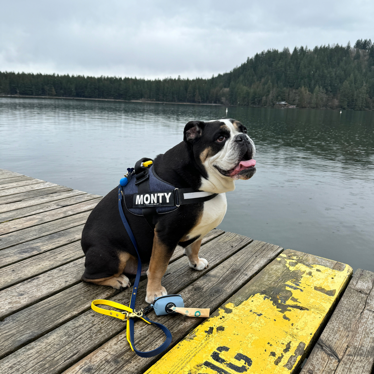 Monty's Poop Bag Dispensers Monty's Bags