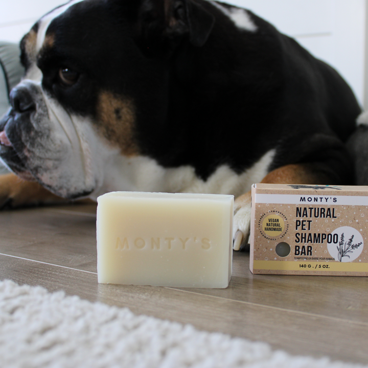 Ensemble de barre de shampoing naturelle pour animaux de compagnie et de porte-savon en paille de blé