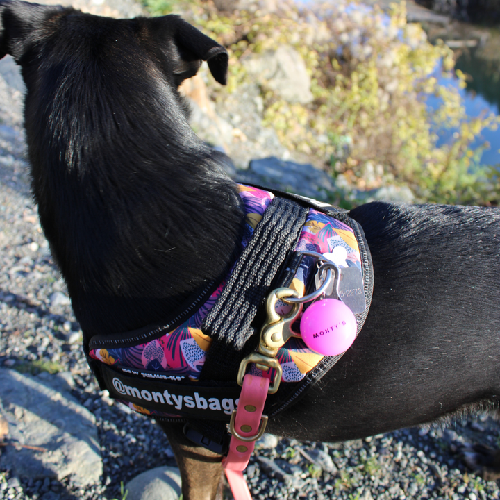 Dog Collar Light - Battery Powered