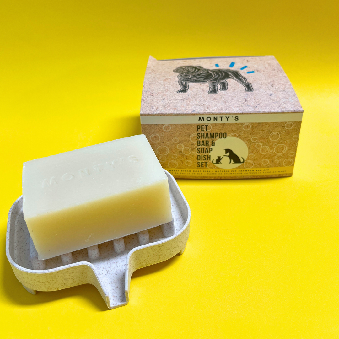 Ensemble de barre de shampoing naturelle pour animaux de compagnie et de porte-savon en paille de blé