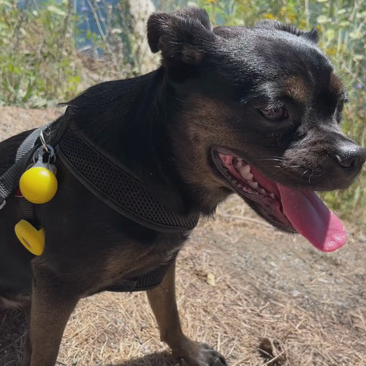 Silicone Collar AirTag Holder