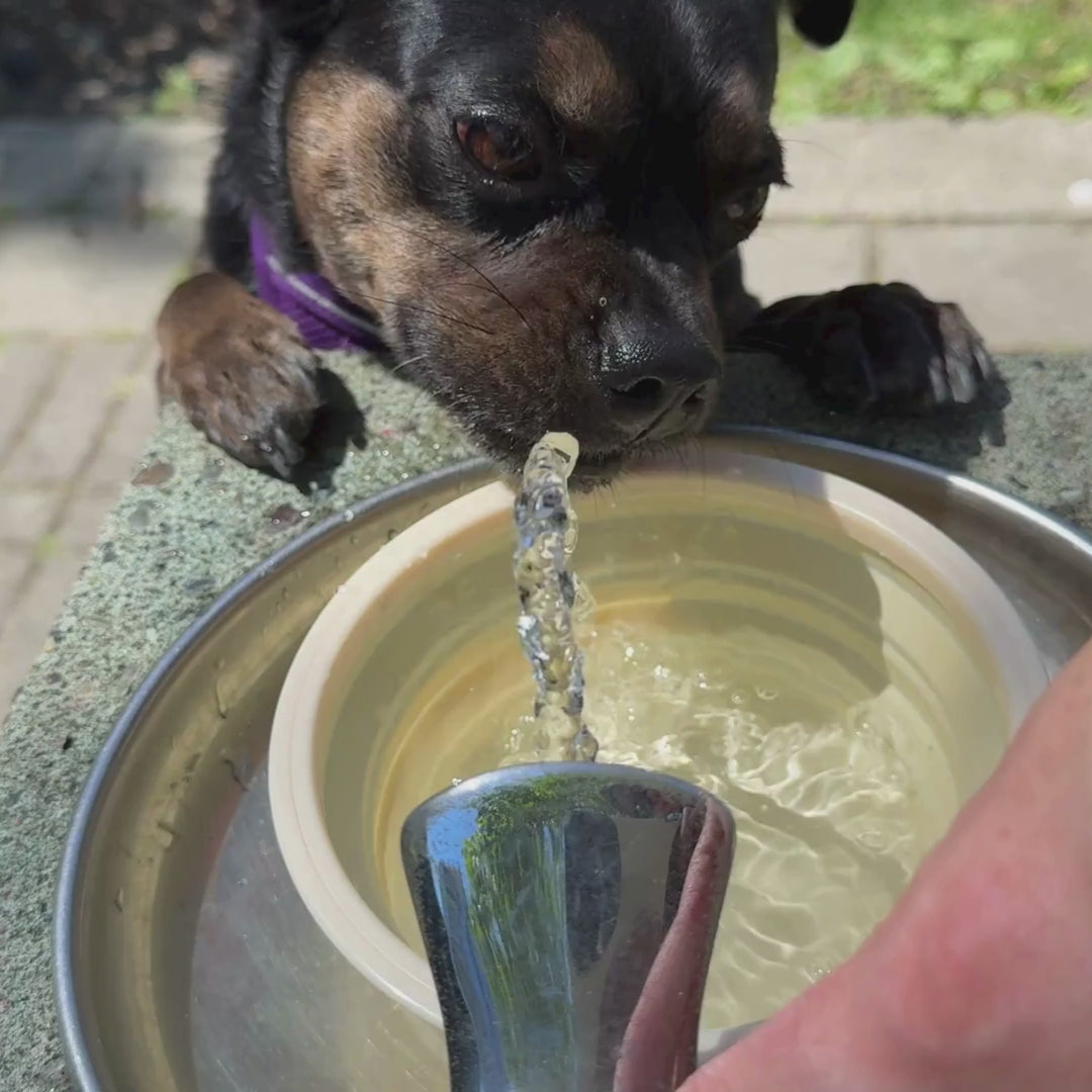 Collapsible Silicone Pet Bowls
