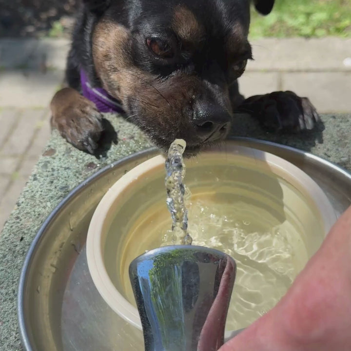 Collapsible Silicone Pet Bowls
